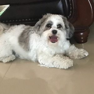 Meet your Posher, Gladys